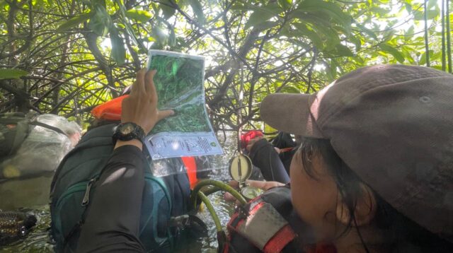 Anggota UPL MPA Unsoed berlatih navigasi rawa di Tritih Kulon, Cilacap (foto: Humas Unsoed)