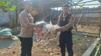 Petugas Polres Pekalongan Kota melakukan olah TKP rumah warga yang rusak akibat ledakan balon udara liar (foto: Pemkot Pekalongan)