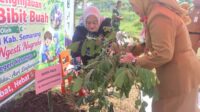 Bunda PAUD Kabupaten Semarang Peni Ngesti Nugraha menanam pohon kelengkeng di TK Negeri Pembina Tuntang (foto: Pemkab Semarang)