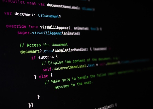 ilustrasi coding (pixabay)