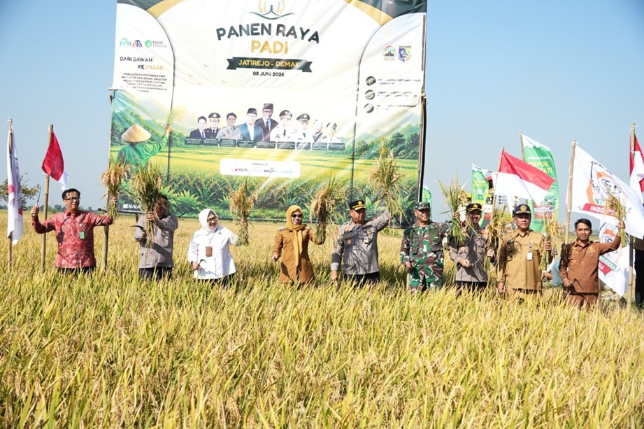 Panen raya di Desa Jaturejo, Karanganyar, Demak, Senin 8 Juni 2026 (foto: Pemkab Demak)