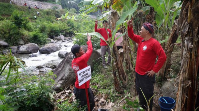 Ketua DPRD Jateng Sumanto memimpin penanaman pohon penyimpan air di Desa Girilayu (foto: DPRD Jateng)