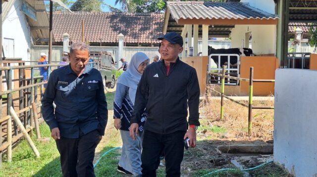 Ketua DPRD Jateng Sumanto saat kunjungan kerja ke Taman Ternak Satker Ayam Maron di Temanggung (foto: DPRD Jateng)