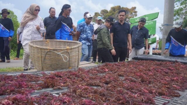 Bupati Jepara Witiarso Utomo meninjau rencana pengembangan budidaya rumput laut di Karimunjawa (foto: Pemkab Jepara)