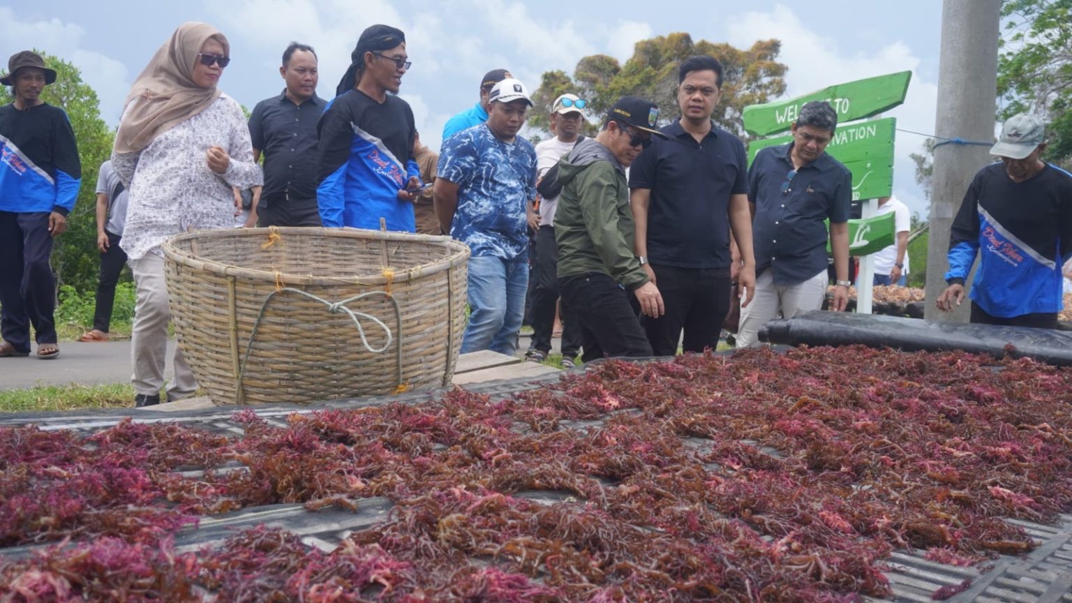 Bupati Jepara Witiarso Utomo meninjau rencana pengembangan budidaya rumput laut di Karimunjawa (foto: Pemkab Jepara)