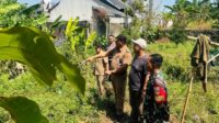 Bhabinkamtibmas Kramas Aipda M Ridwan bersama Lurah Kramas Kamsi meninjau kondisi drainase di RT 03 RW 02 Kelurahan Kramas, Senin 27 Juli 2026 (foto: Polsek Tembalang) Bhabinkamtibmas Kramas Aipda M Ridwan bersama Lurah Kramas Kamsi meninjau kondisi drainase di RT 03 RW 02 Kelurahan Kramas, Senin 27 Juli 2026 (foto: Polsek Tembalang)