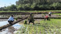 Petani Ngaliyan Petani Ngaliyan
