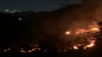 lahan ilalang terbakar di Jalan Jangli Gabeng Tembalang (foto: Dinas Damkar Kota Semarang)