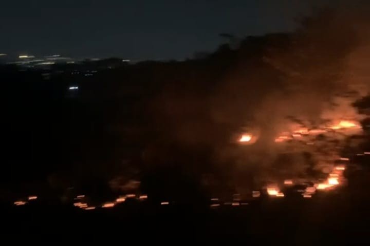 lahan ilalang terbakar di Jalan Jangli Gabeng Tembalang (foto: Dinas Damkar Kota Semarang)