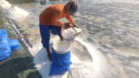 Tambak Garam di desa kedungmutih, kecamatan wedung, kabupaten Demak (matasemarang.com/Lia Dina) Tambak Garam di desa kedungmutih, kecamatan wedung, kabupaten Demak (matasemarang.com/Lia Dina)