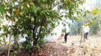 Petugas dari Polsek Tembalang memadamkan api yang berkobar di lahan kosong di Sigar Bencah (foto: Polsek Tembalang)