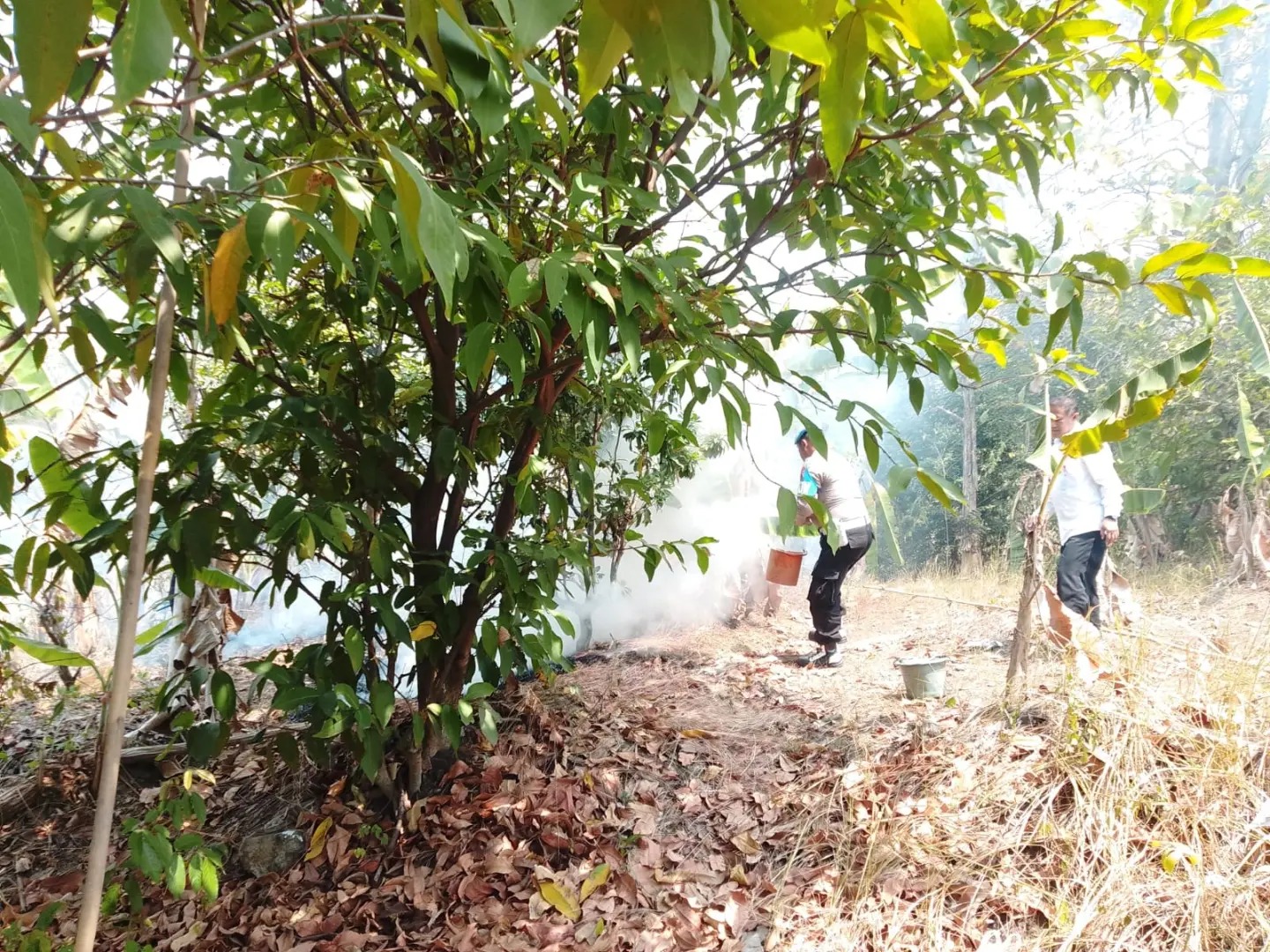 Petugas dari Polsek Tembalang memadamkan api yang berkobar di lahan kosong di Sigar Bencah (foto: Polsek Tembalang) Petugas dari Polsek Tembalang memadamkan api yang berkobar di lahan kosong di Sigar Bencah (foto: Polsek Tembalang)