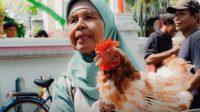 Peternak ayam petelur DIY membagikan ayam afkir gratis (instagram @dprd_diy)Peternak ayam petelur DIY membagikan ayam afkir gratis (instagram @dprd_diy) Peternak ayam petelur DIY membagikan ayam afkir gratis (instagram @dprd_diy)