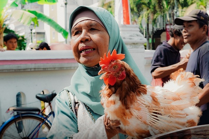 Peternak ayam petelur DIY membagikan ayam afkir gratis (instagram @dprd_diy)Peternak ayam petelur DIY membagikan ayam afkir gratis (instagram @dprd_diy) Peternak ayam petelur DIY membagikan ayam afkir gratis (instagram @dprd_diy)