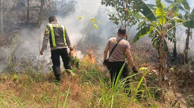Lahan Perhtani di Kabupaten Semarang kebakaran (foto: Polres Semarang)