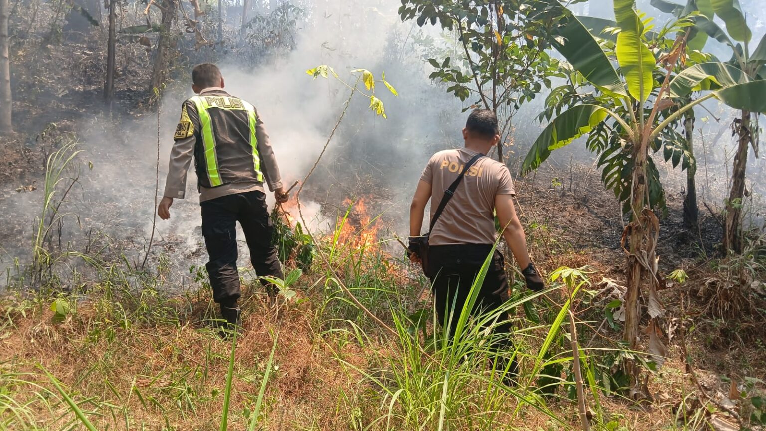 Lahan Perhtani di Kabupaten Semarang kebakaran (foto: Polres Semarang)