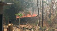 Kebakaran lahan semak belukar di kawasan Gunung Santri Tembalang Semarang (foto: Polsek Tembalang)