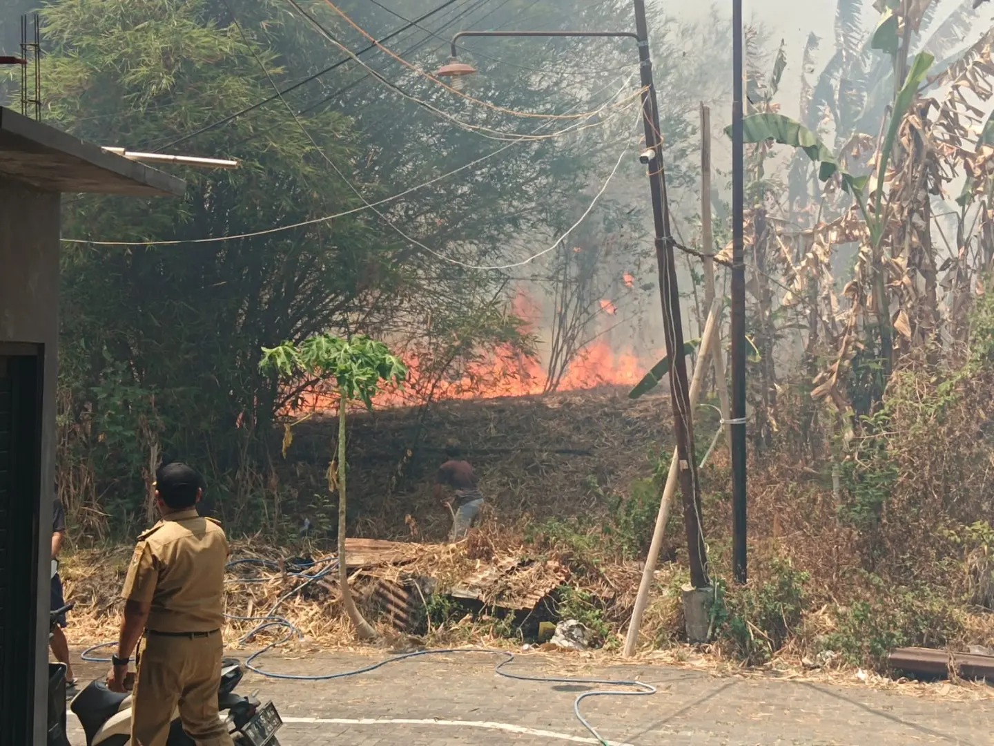 Kebakaran lahan semak belukar di kawasan Gunung Santri Tembalang Semarang (foto: Polsek Tembalang) Kebakaran lahan semak belukar di kawasan Gunung Santri Tembalang Semarang (foto: Polsek Tembalang)