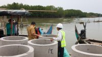 Konstruksi buis beton hybrid sea wall di pesisir Desa Surodadi Demak (foto: Pemprov Jateng)